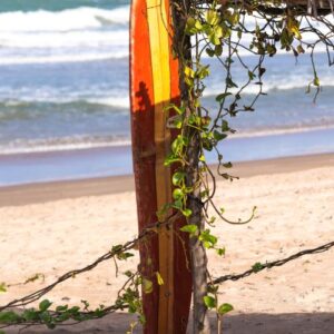Clube do Surf