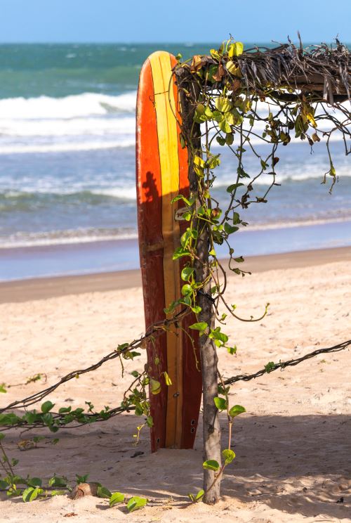 Clube do Surf