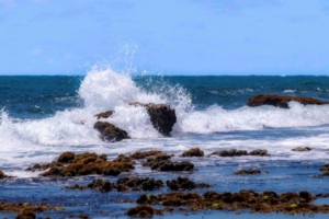 Praia do Cupi