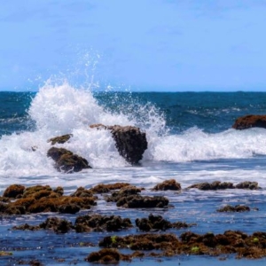 Praia do Cupi